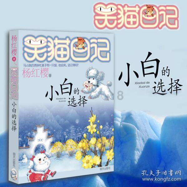 创作猫