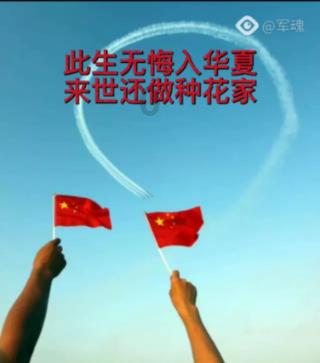 虫虫助手下载